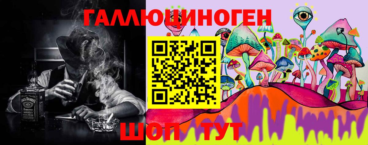 Галлюциногенные грибы Psilocybe  Вход с VPN  Нальчик  Галлюциногенные грибы мухоморы 